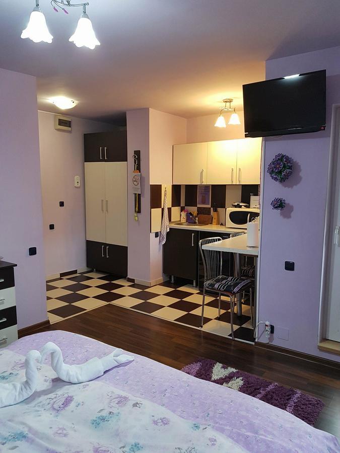 Garsoniera Cristina Apartment Baile Felix Exterior photo