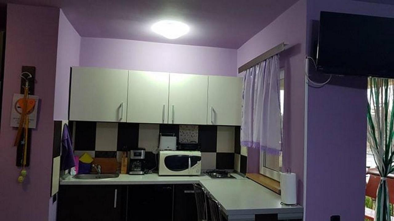 Garsoniera Cristina Apartment Baile Felix Exterior photo