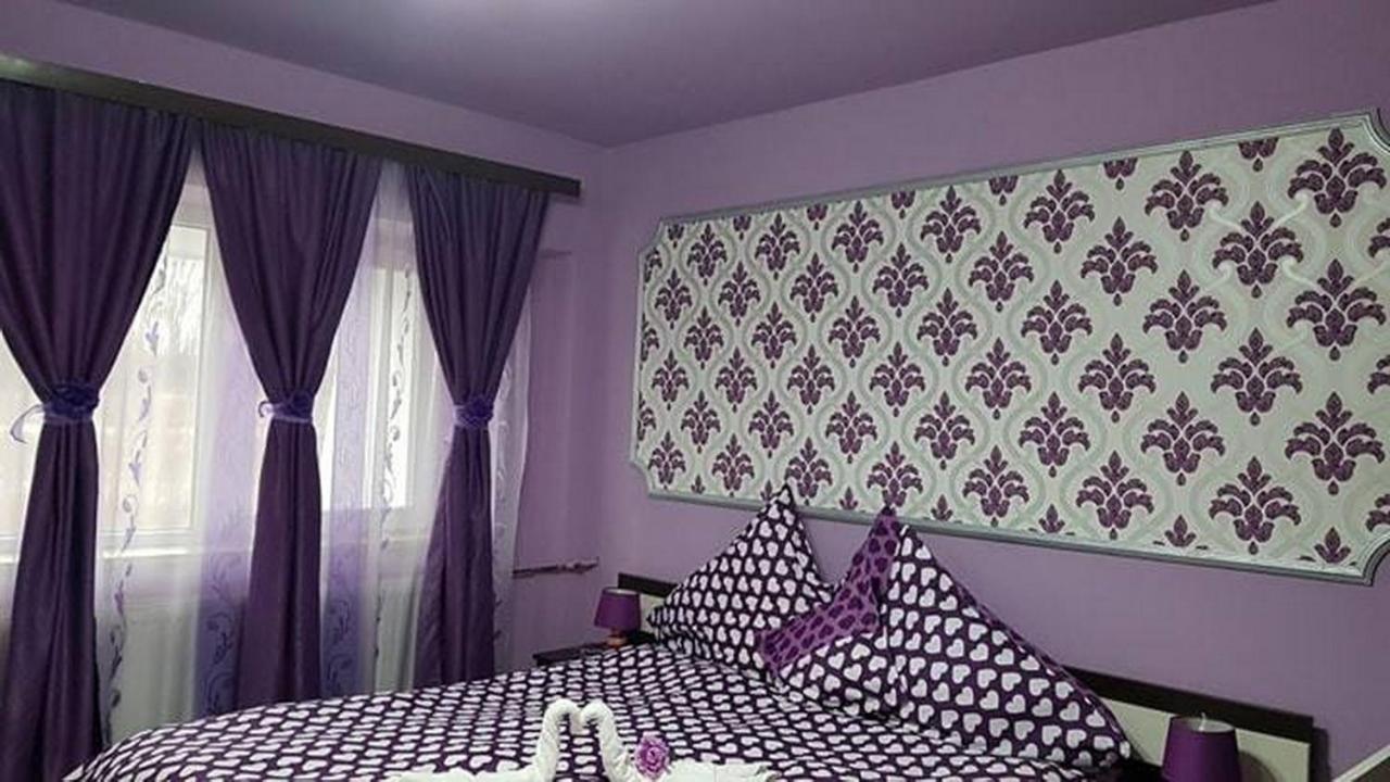 Garsoniera Cristina Apartment Baile Felix Exterior photo